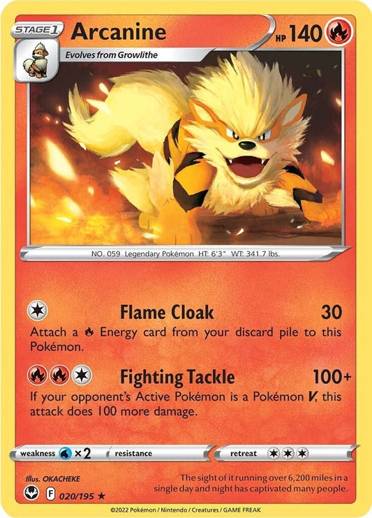 Image for Arcanine (020/195) (SWSH12: Silver Tempest) (SWSH12) - Pokemon
