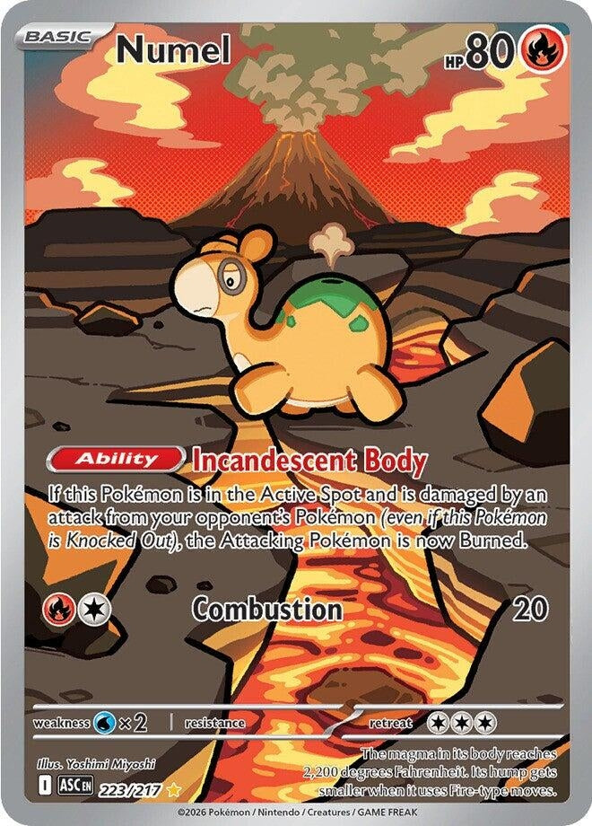 Image for Numel (223/217) (ASC) - Pokemon