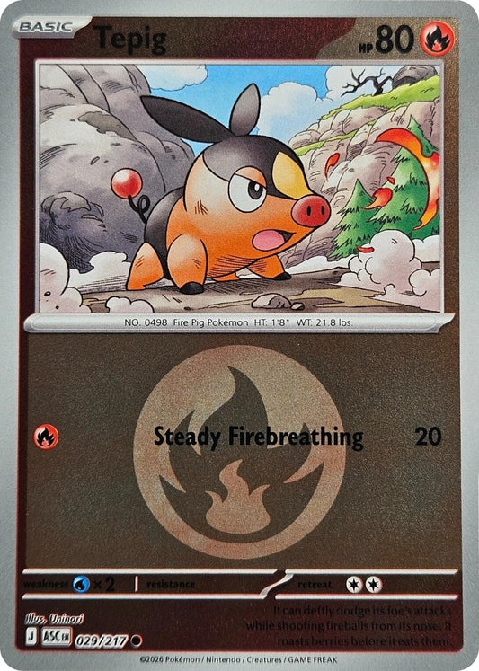 Image for Tepig (Energy Symbol Pattern) (029/217) (ASC) - Pokemon